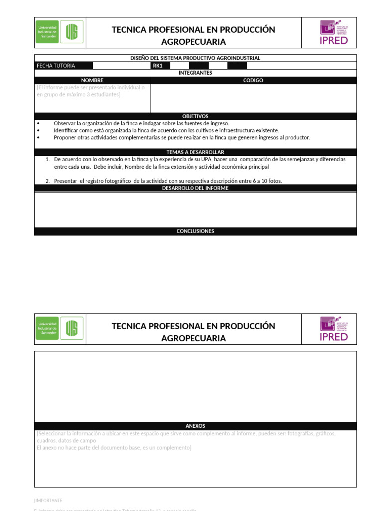 Formato para Informe - DSP | PDF