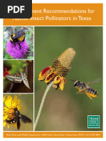Bee Swarm Simulator Nectar Guide | PDF | Bees