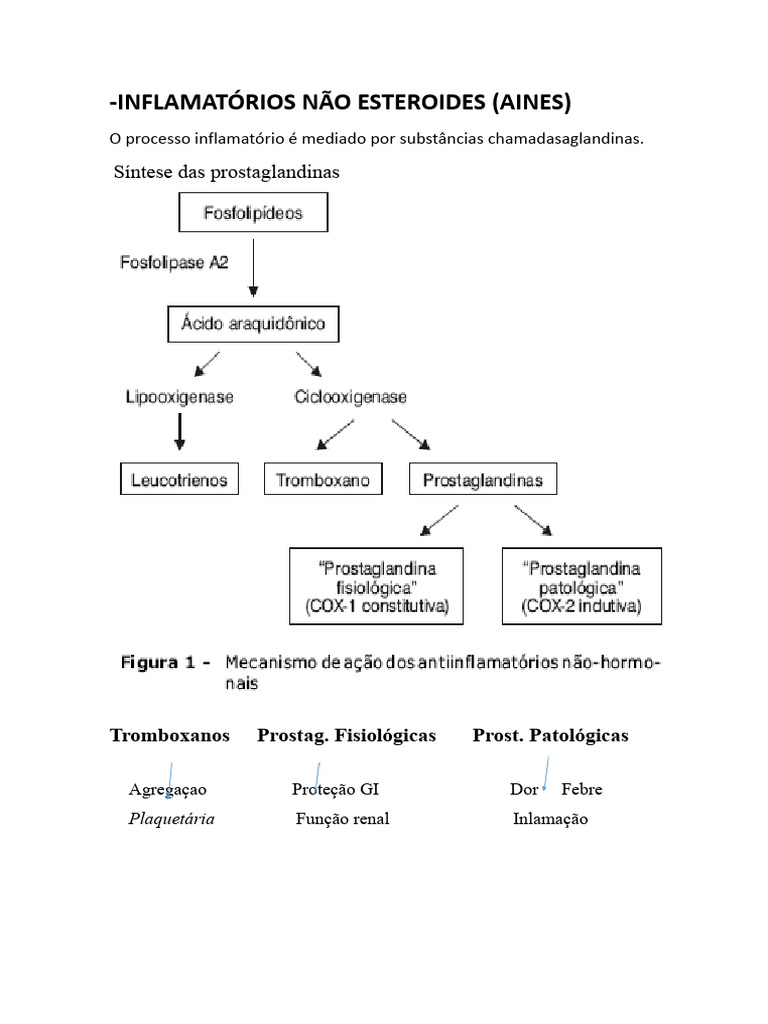 Anti-Inflamatórios Não Esteroides | PDF | Anti-inflamatório não ...