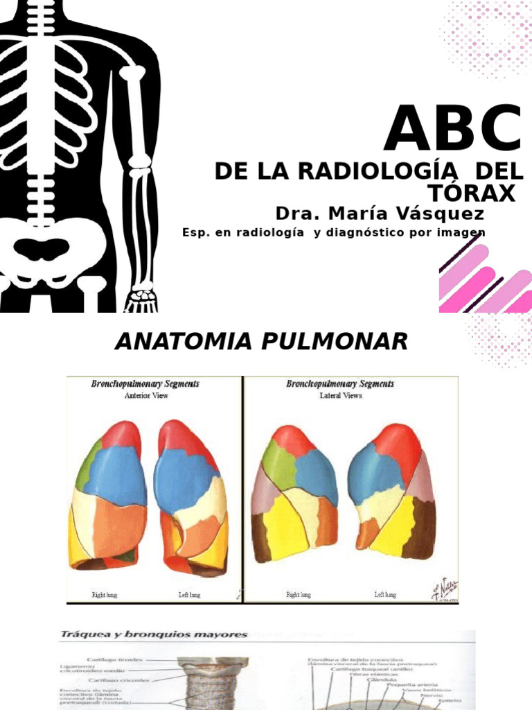ABC de la Radiografía de Tórax | PDF | Tórax | Tórax (anatomía humana)
