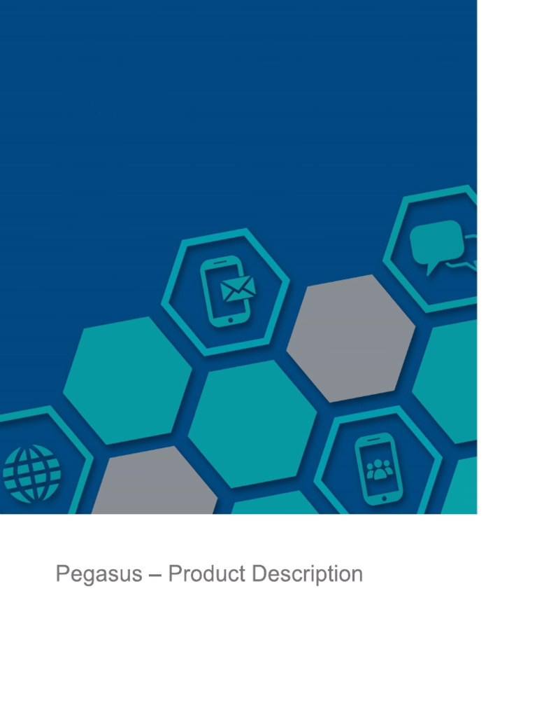 Pegasus Manual | PDF