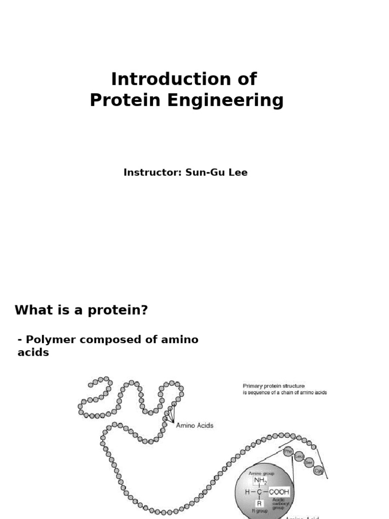 Introduction Of Protein Engineering Pdf