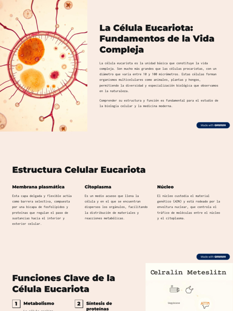 Estructura y Funciones de Células Eucariotas | PDF | Biología Celular ...