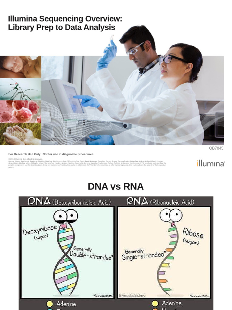 Illumina Sequencing Workflow Overview | PDF | Primer (Molecular Biology ...