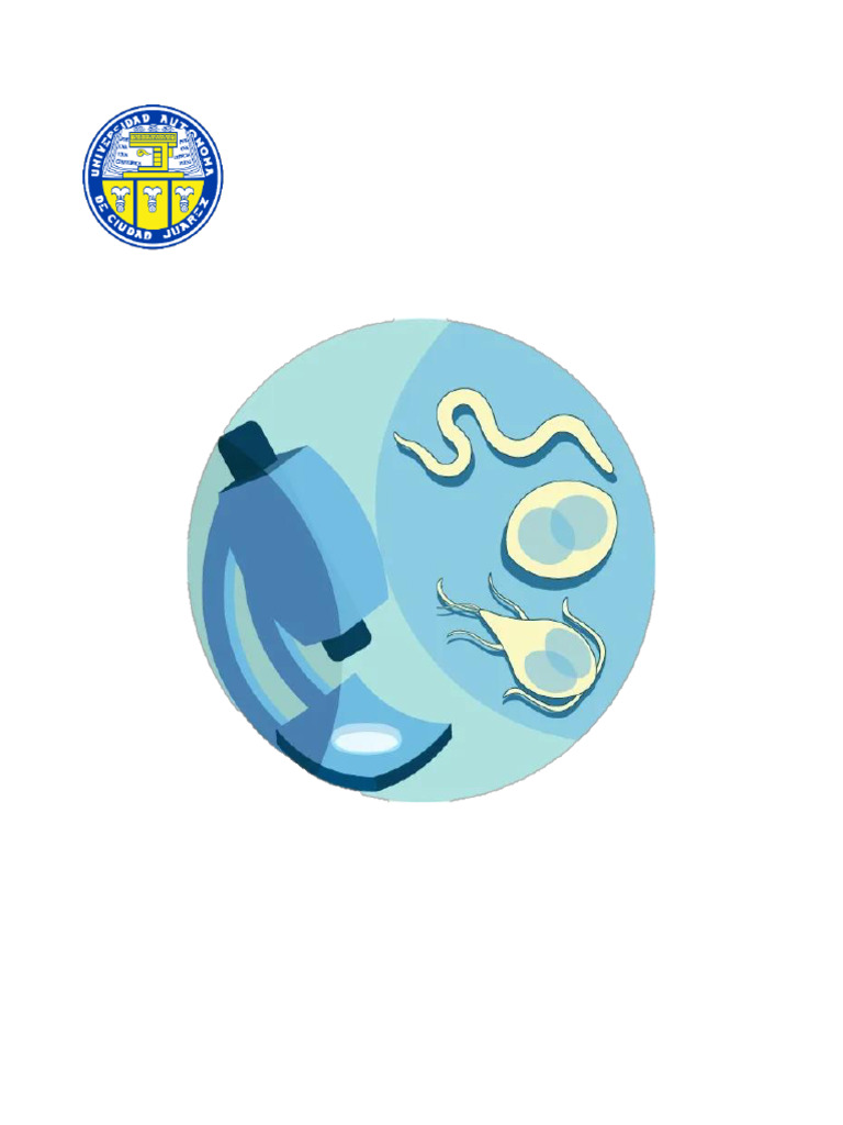 morfolog-a-de-par-sitos-veterinarios-pdf-nematodo-biolog-a