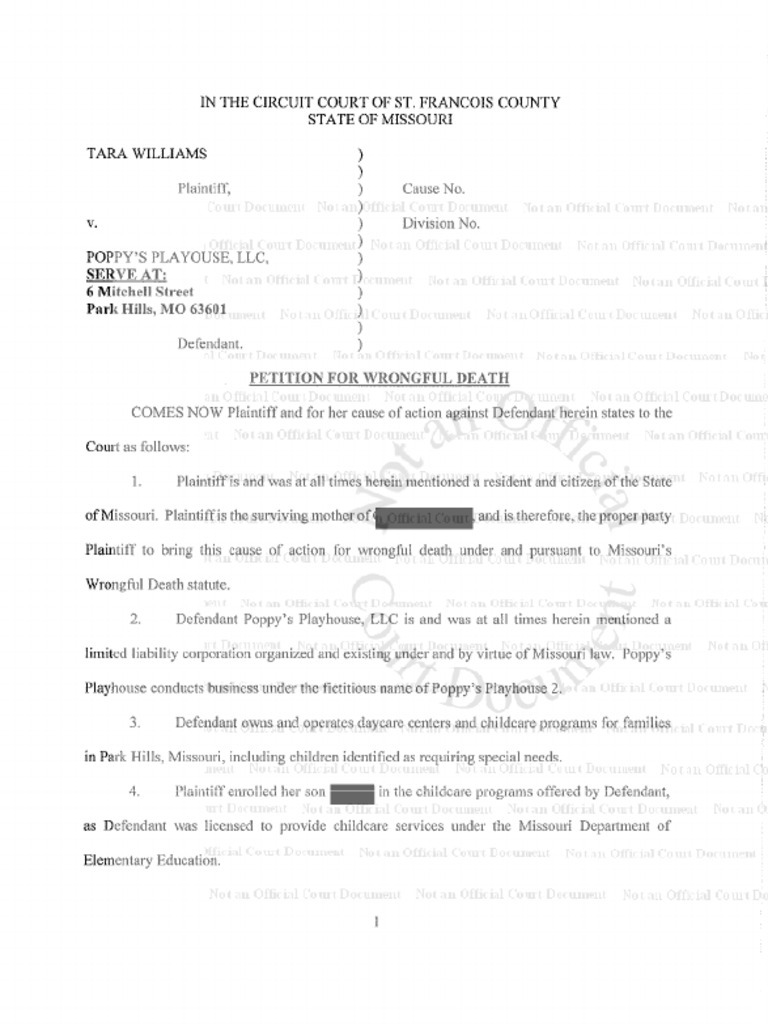 Wrongful Death Petition Filed | PDF