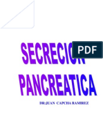 Secreccion Pancretic