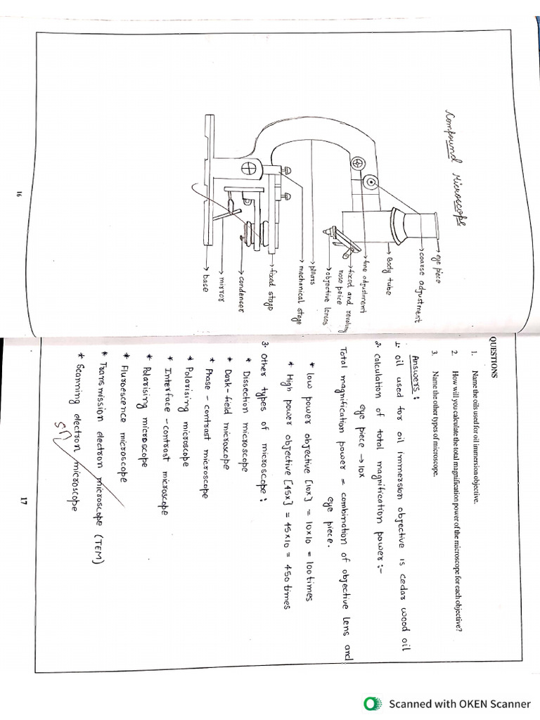 Physiology Practical | PDF