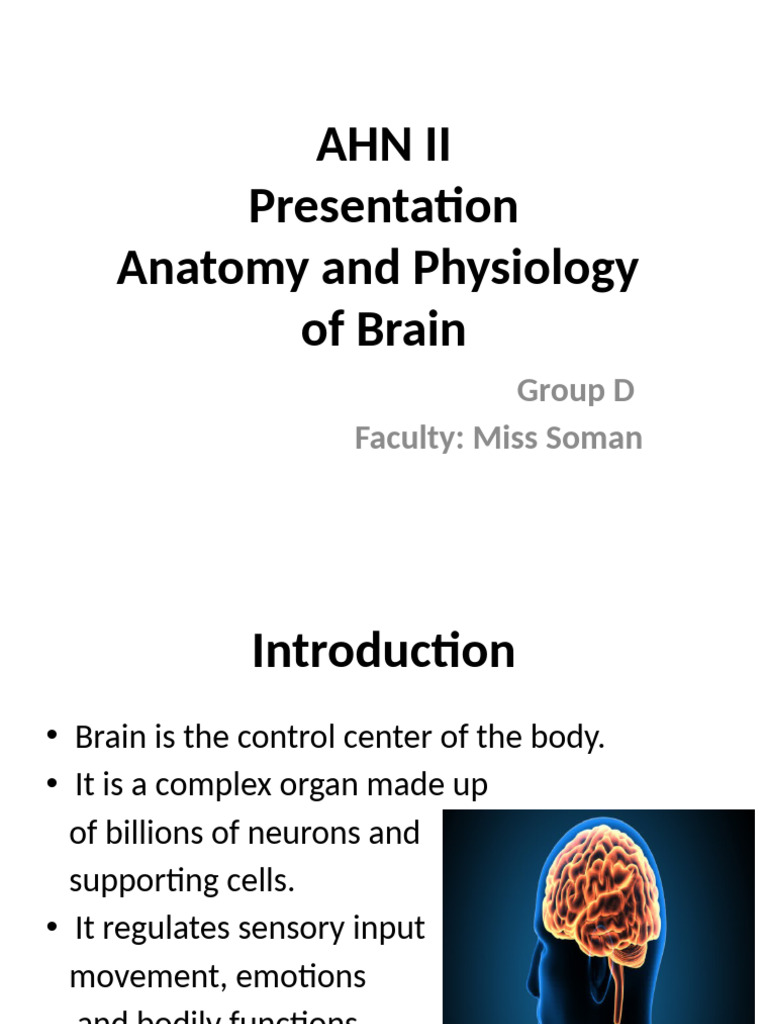 Anatomy and Physiology of The Brain1 | PDF