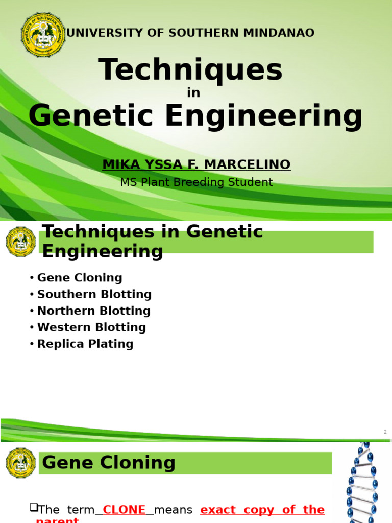 Genetic Engineering Techniques Overview | PDF | Western Blot | Southern ...