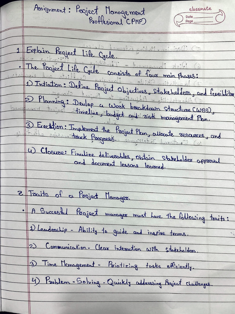 PMP Assignment | PDF