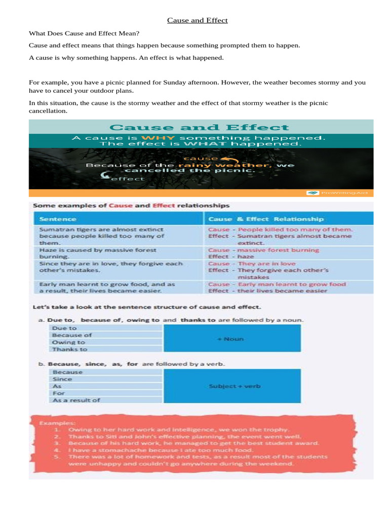 Cause and Effect XI | PDF