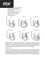 tor-o-das-hid-tides-de-morgagni-pdf