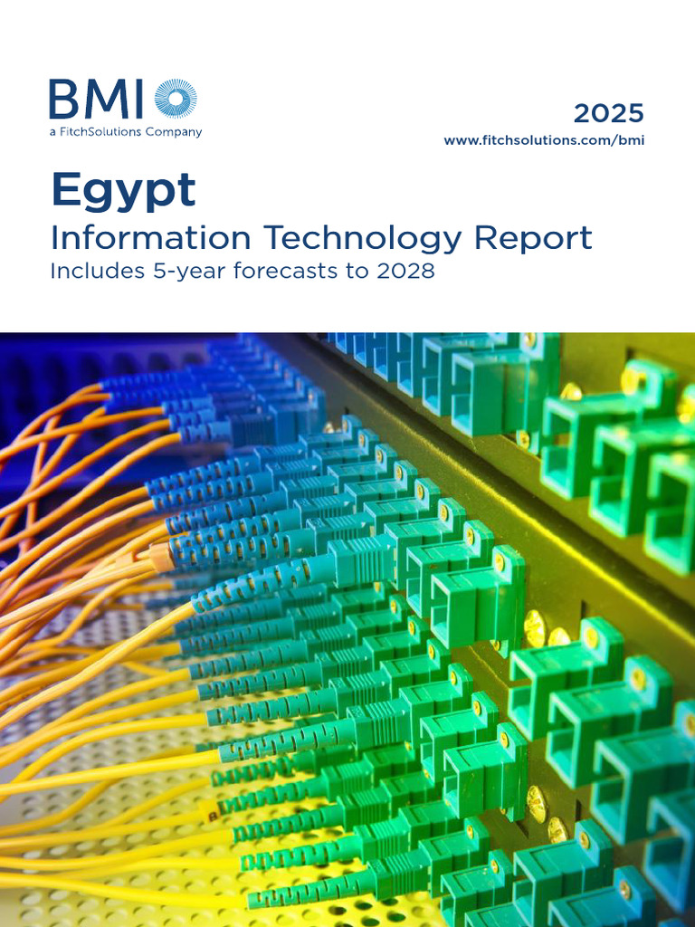 Egypt IT Market Outlook 2025 | PDF | Personal Computers | Tablet Computer