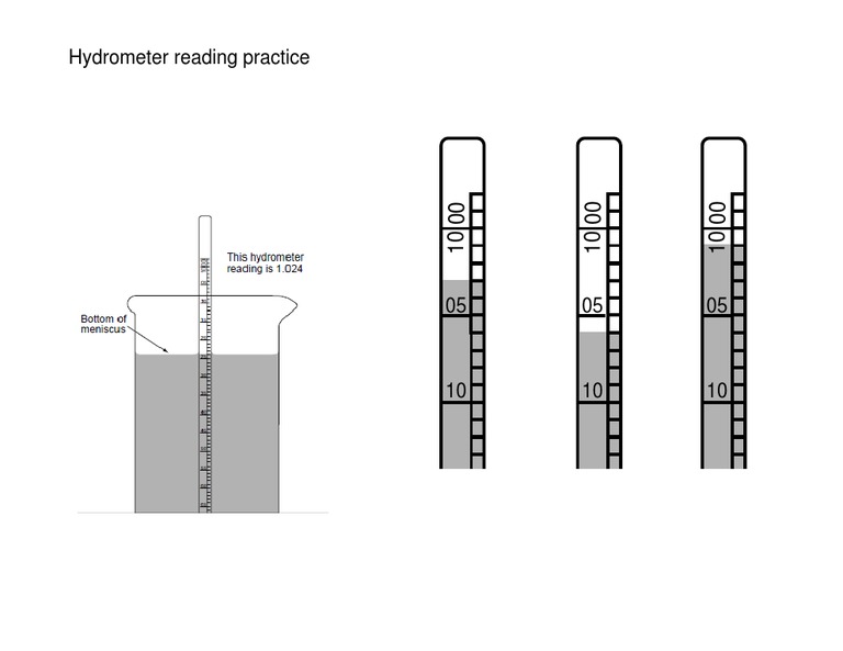 Hydrometer Practice | PDF