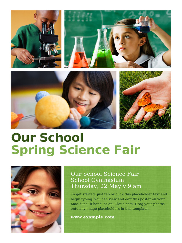 Our School: Spring Science Fair | PDF