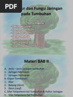 Download Struktur Dan Fungsi Jaringan Pada Tumbuhan by twulandari_14 SN86546718 doc pdf