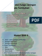 Download Struktur Dan Fungsi Jaringan Pada Tumbuhan by twulandari_14 SN86546718 doc pdf