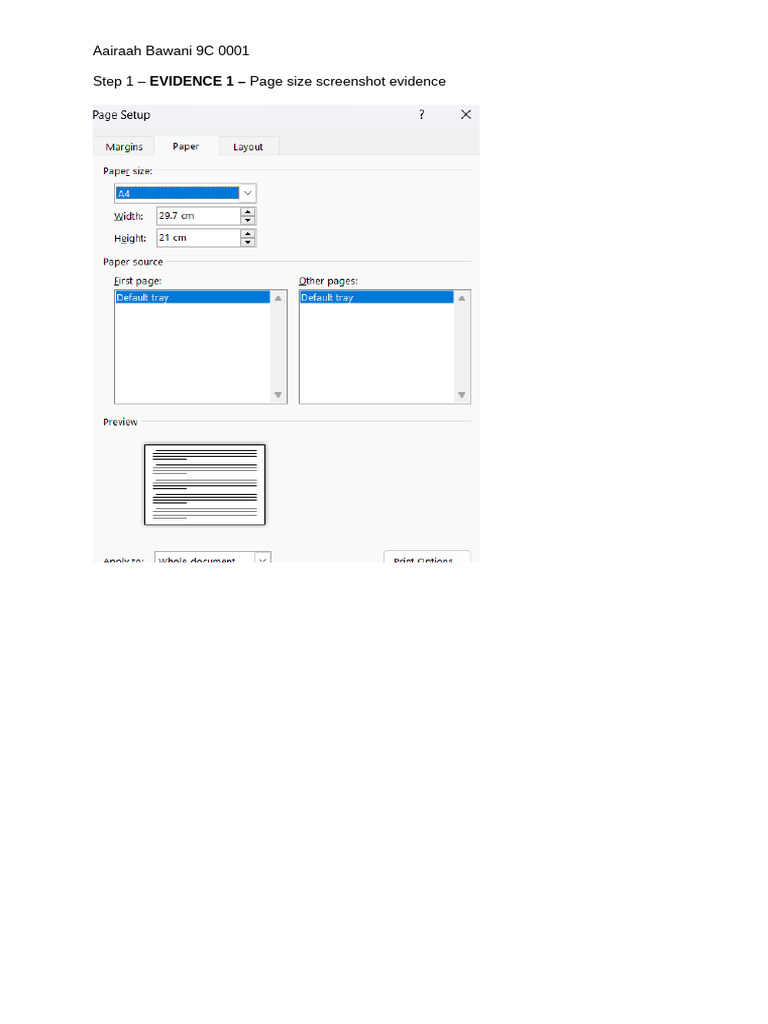 Evidence Documentation for Project 9C | PDF