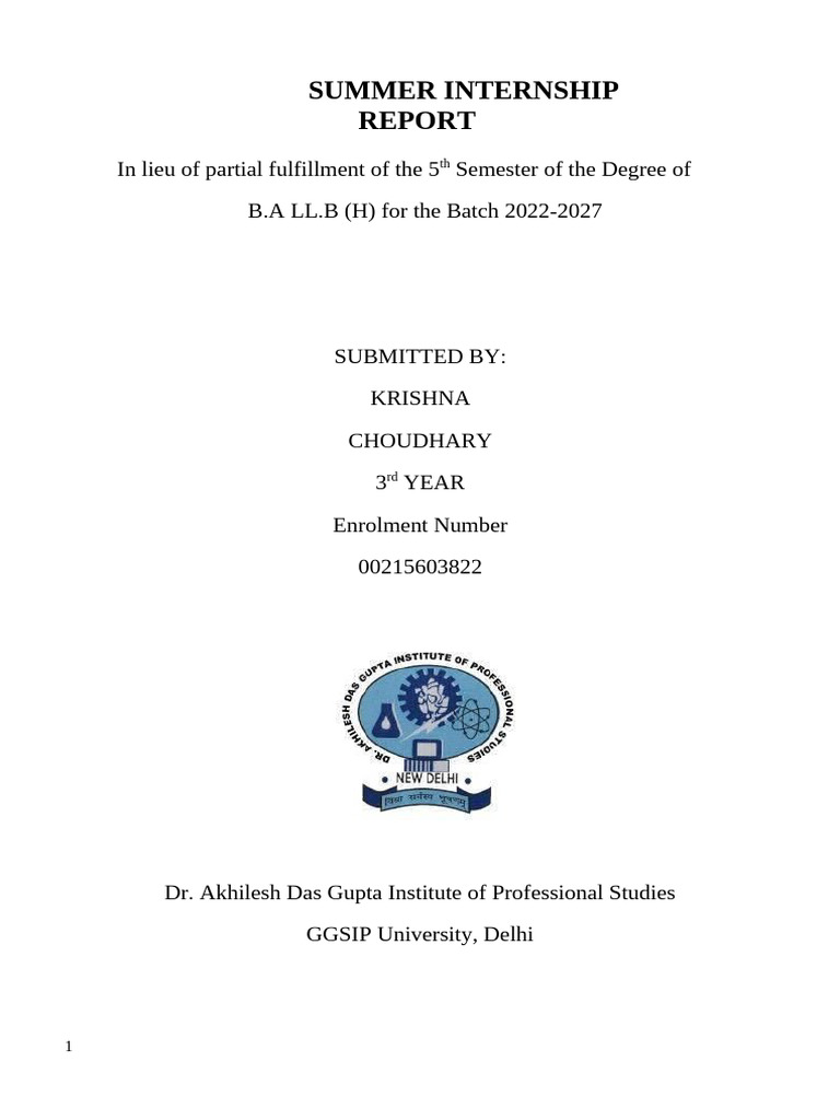 Summer Internship Report: Legal Experience | PDF | Airbag | Divorce