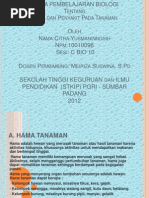 Download HamaDanPenyakitPadaTanamanbyRafkiCalonJhorongSeasonIISN86549040 doc pdf