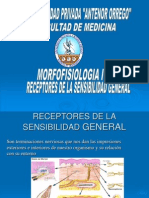 Receptores de La Sensibilidad General (Sem)