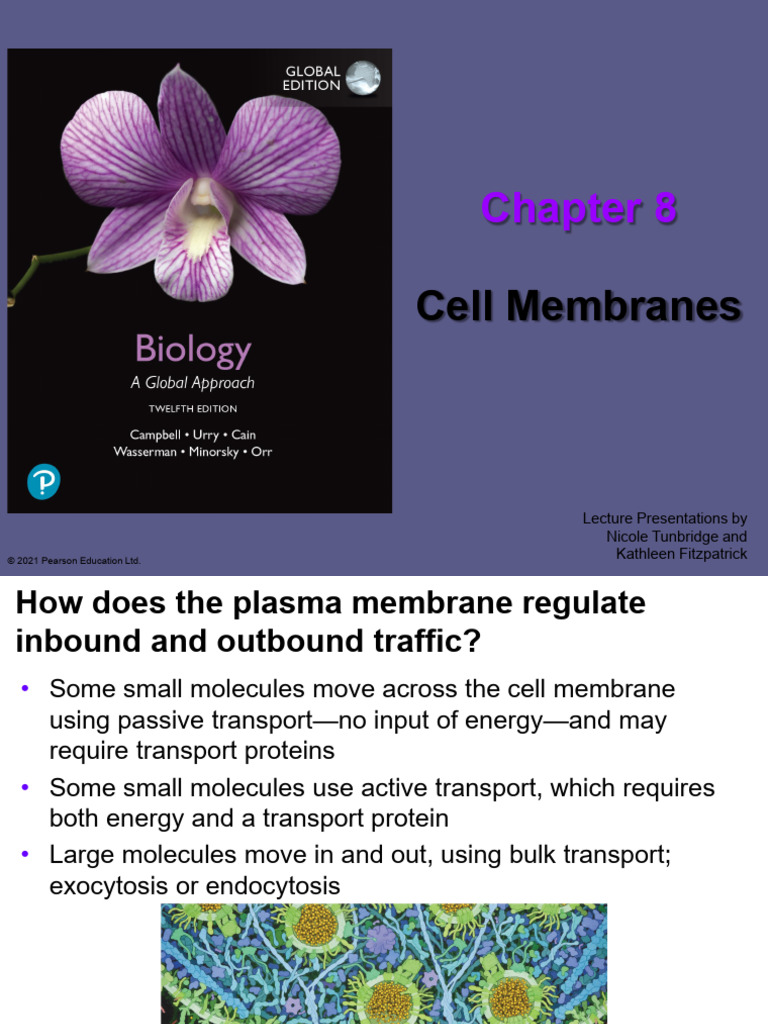 Lecture 05 463200199 250326 113247 | PDF | Cell Membrane | Membrane ...