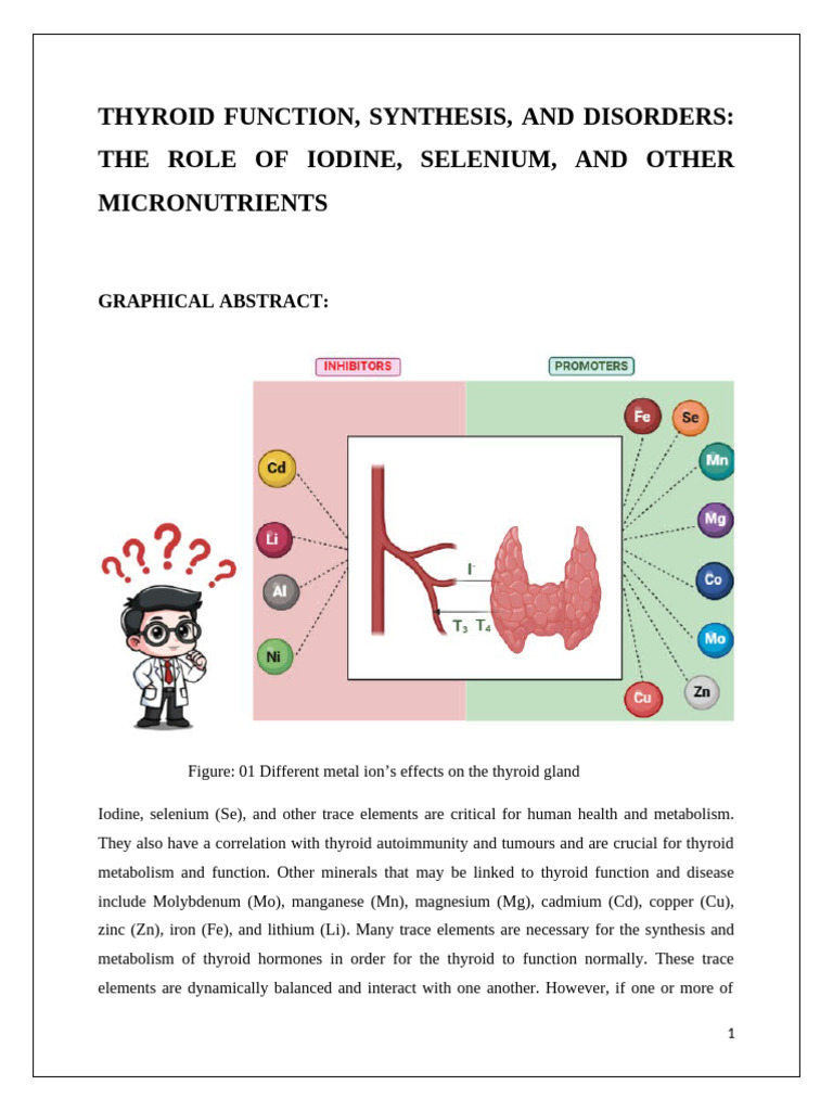 Iodine and Selenium's Role in Thyroid Health | PDF | Thyroid ...