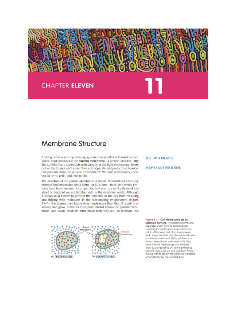 Chapter 11 | PDF