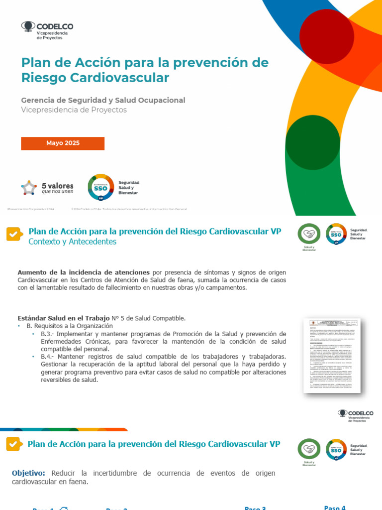 Plan de Acción Prevención Riesgo Cardiovascular GSSO VP Mayo2025 | PDF ...