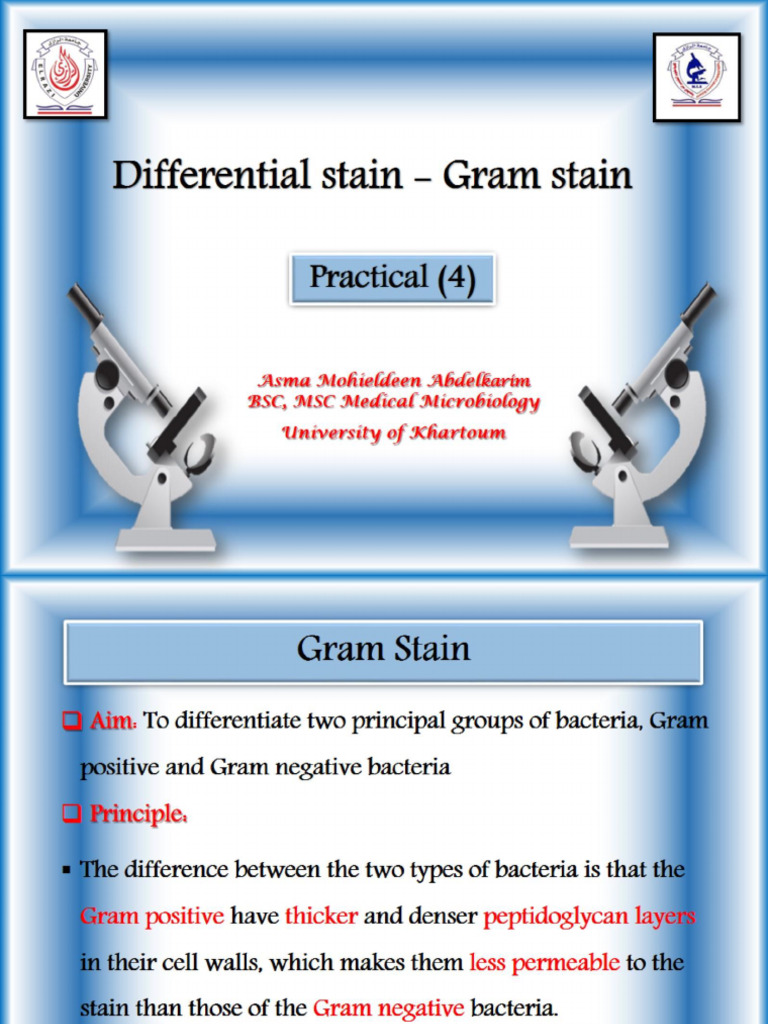 Differential Stain - Gram Stain | PDF