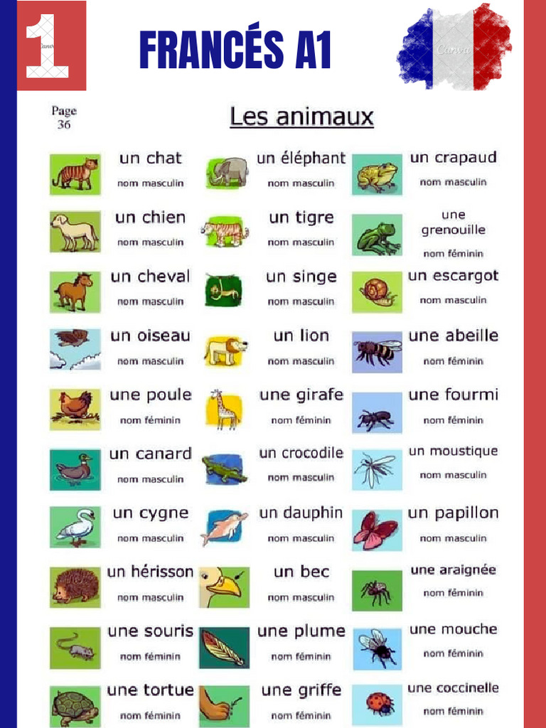French Visual Planner.O | PDF