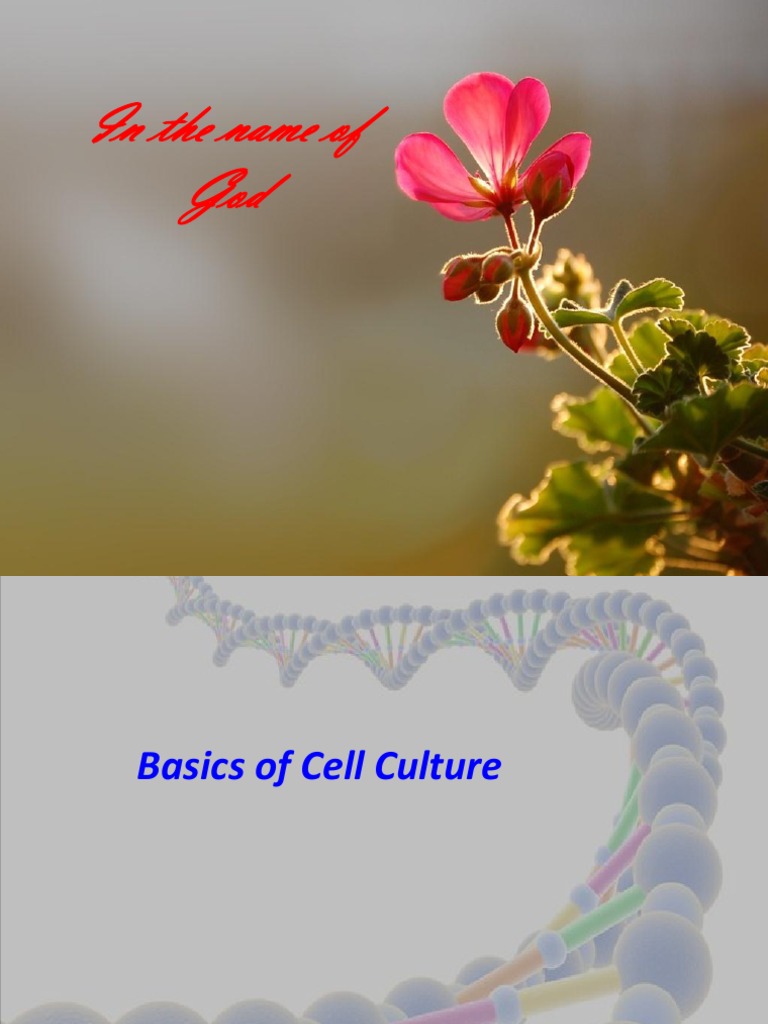Cell Culture PDF Cell Culture Growth Medium
