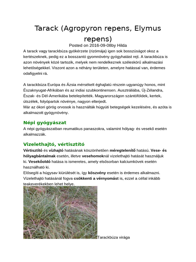 Tarack | PDF