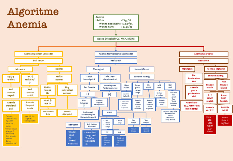 Algoritme Anemia | PDF