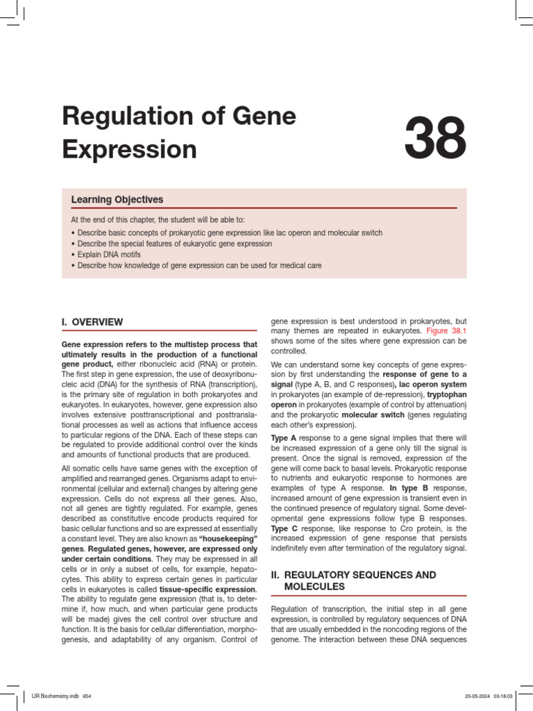 Gene Expression Regulation Explained | PDF | Operon | Repressor