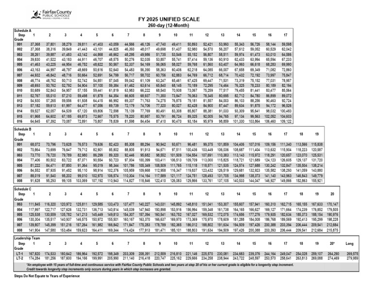 Chicago 2025 Salary Scale Overview | PDF