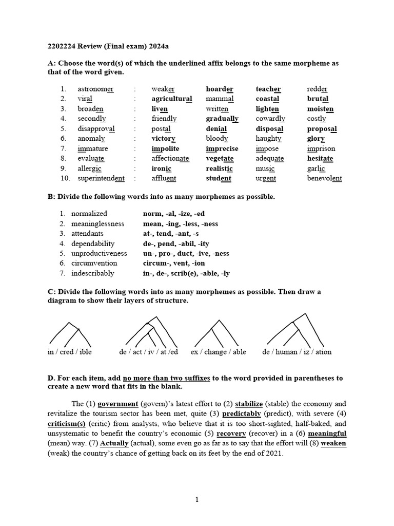 224 (2024a) Supplementary exercise - Key | PDF | Clause | Subject (Grammar)