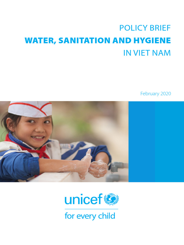 WASH Challenges and Solutions in Vietnam | PDF | Wash | Sanitation