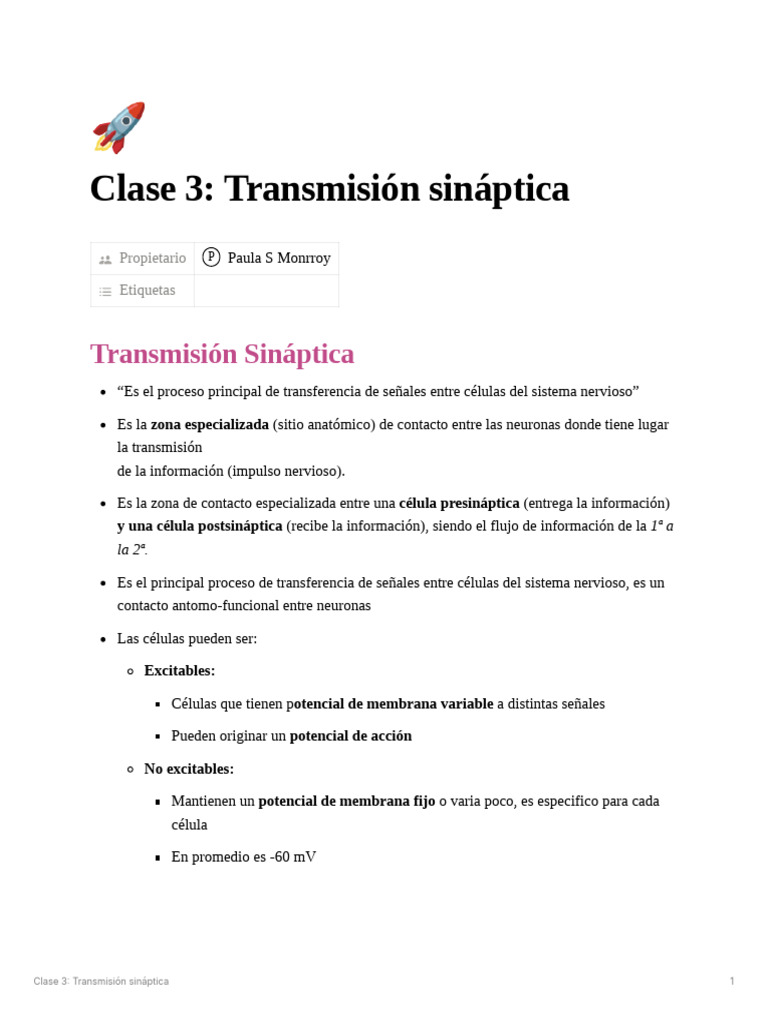 Clase 3 Bases 2 | PDF | Sinapsis | Neurona