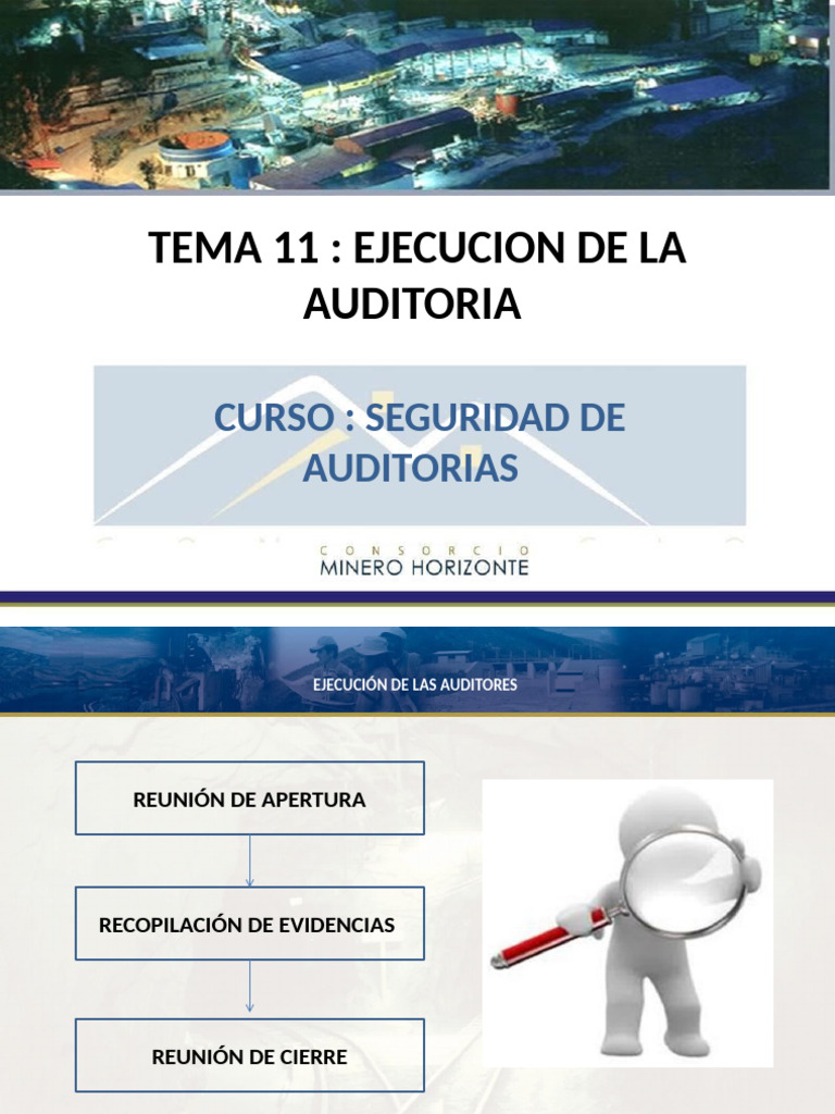 Tema 11 Ejecucion de La Auditoria | PDF | Auditoría