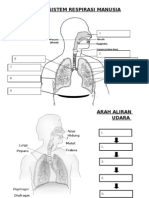 Bab 1 (Sistem Respirasi Manusia)
