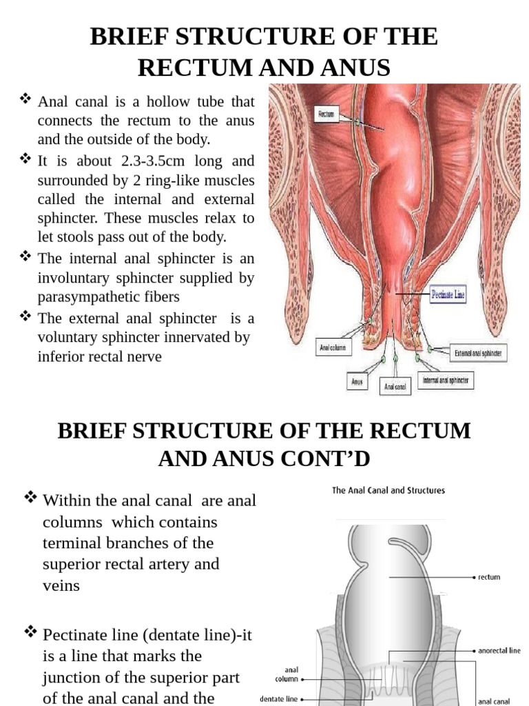 Hemorrhoids (Piles) 2021 | PDF | Hemorrhoid | Rectum