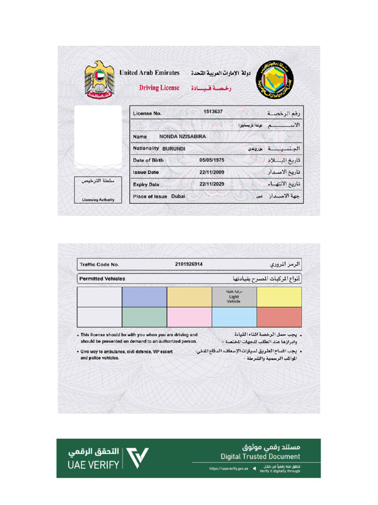 Driving License | PDF