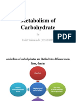 Metabolism of Carbohydrate