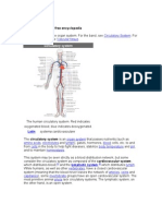 Circulatory System