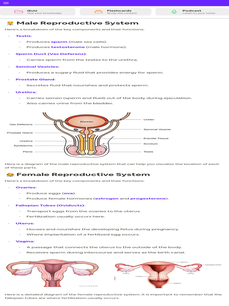 Overview of Male and Female Reproductive Systems | PDF