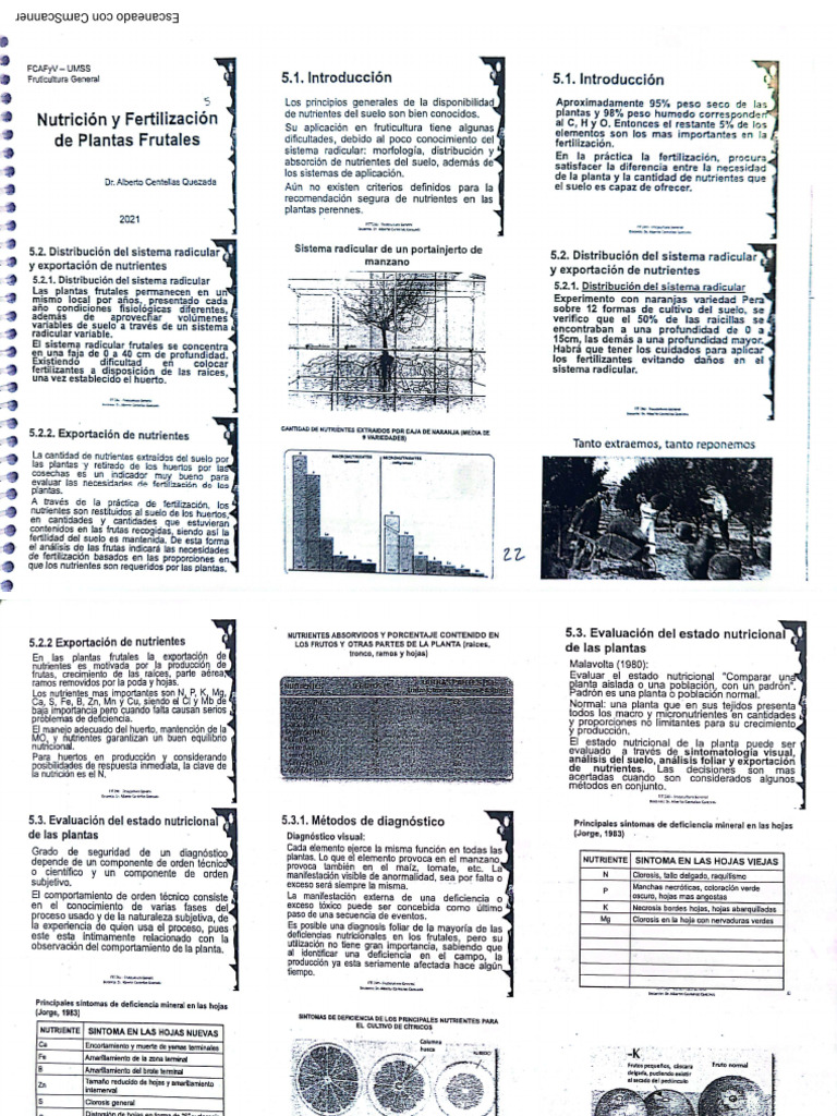 F 2 | PDF