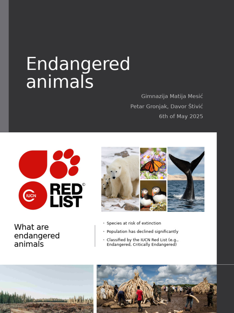Endangered Animals 2 | PDF