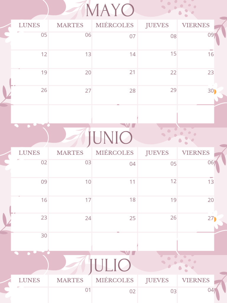 Calendario Rosa 2025 y Planner Noviembre | PDF